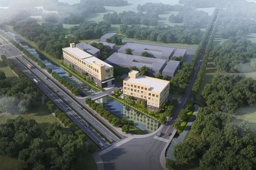 交地即交證 不動產登記 首席登記官 助推項目建設提速增效